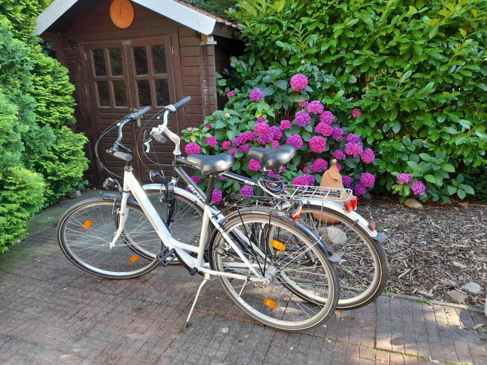 Ferienhaus Am Sielblick In Ditzum Eksteriør bilde